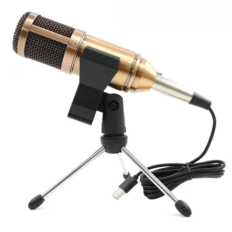 USB-Kondensatormikrofon bm-800 – Pc Gaming Youtuber Bewertung und Preis